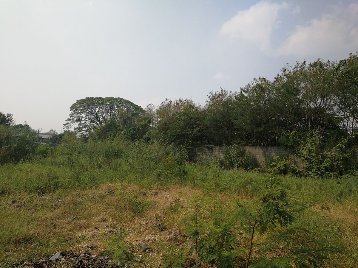 รับฝากขายบ้าน ที่ดิน กรุงเทพ นนทบุรี ปทุมธานี สมุทรปราการ | ขายด่วน ที่ดิน 2 ไร่ 1 งาน 47 ตร.ว.(947 ตร.ว.) ซอยลาดพร้าว 18 แยก14-1, ซอยวิภาวดี 16/27 แขวงจอมพล เขตจตุจักร กรุงเทพ รับฝากขายบ้าน ที่ดิน กรุงเทพ นนทบุรี ปทุมธานี สมุทรปราการ | ขายด่วน ที่ดิน 2 ไร่ 1 งาน 47 ตร.ว.(947 ตร.ว.) ซอยลาดพร้าว 18 แยก14-1, ซอยวิภาวดี 16/27 แขวงจอมพล เขตจตุจักร กรุงเทพ