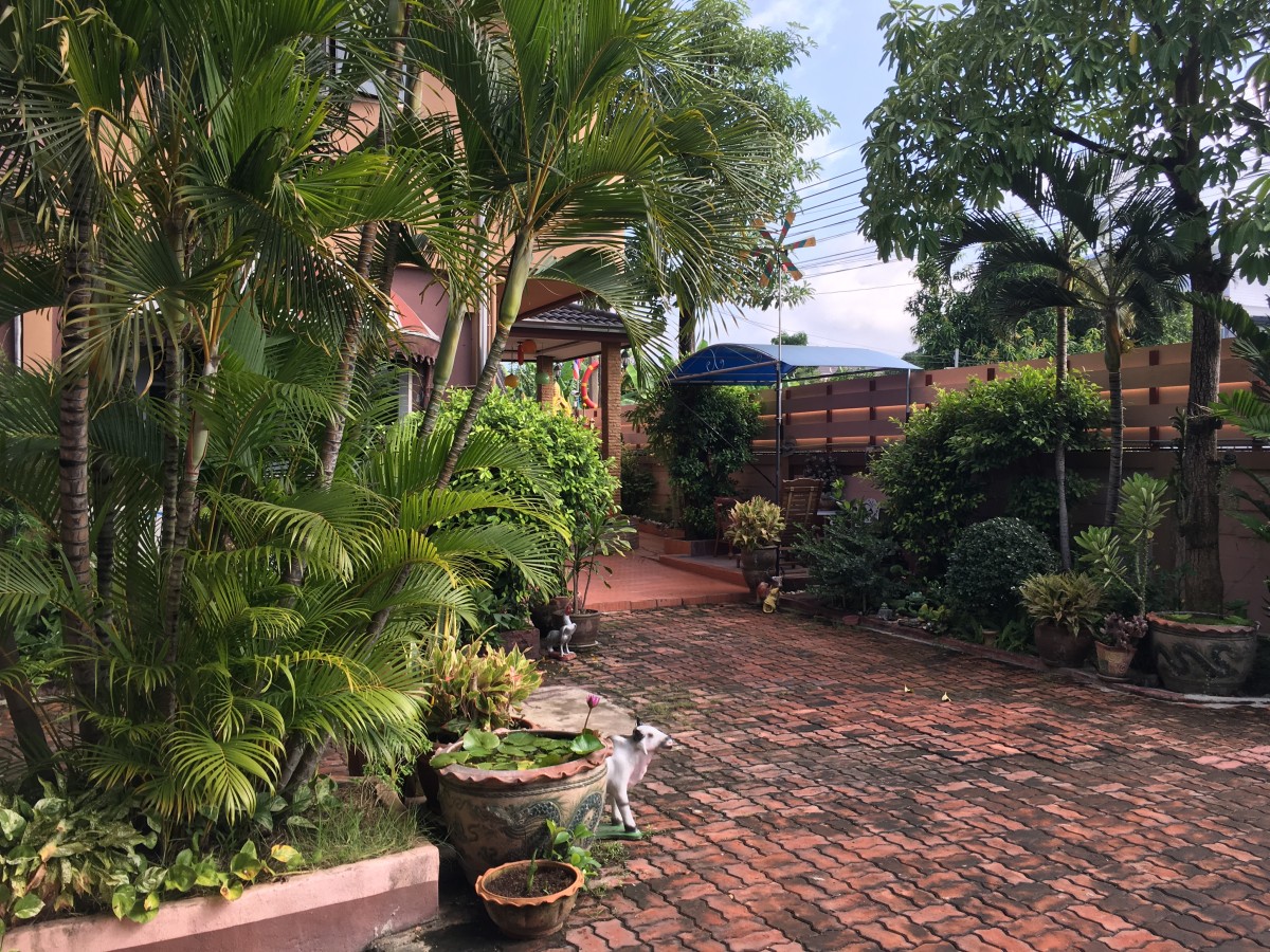 รับฝากขายบ้าน ที่ดิน กรุงเทพ นนทบุรี ปทุมธานี สมุทรปราการ | ขายด่วนบ้านเดี่ยว 2 ชั้น 100 ตร.วา. ซ.พระยาสุเรนท์ 30 แขวงบางชัน เขตคลองสามวา กรุงเทพ รับฝากขายบ้าน ที่ดิน กรุงเทพ นนทบุรี ปทุมธานี สมุทรปราการ | ขายด่วนบ้านเดี่ยว 2 ชั้น 100 ตร.วา. ซ.พระยาสุเรนท์ 30 แขวงบางชัน เขตคลองสามวา กรุงเทพ