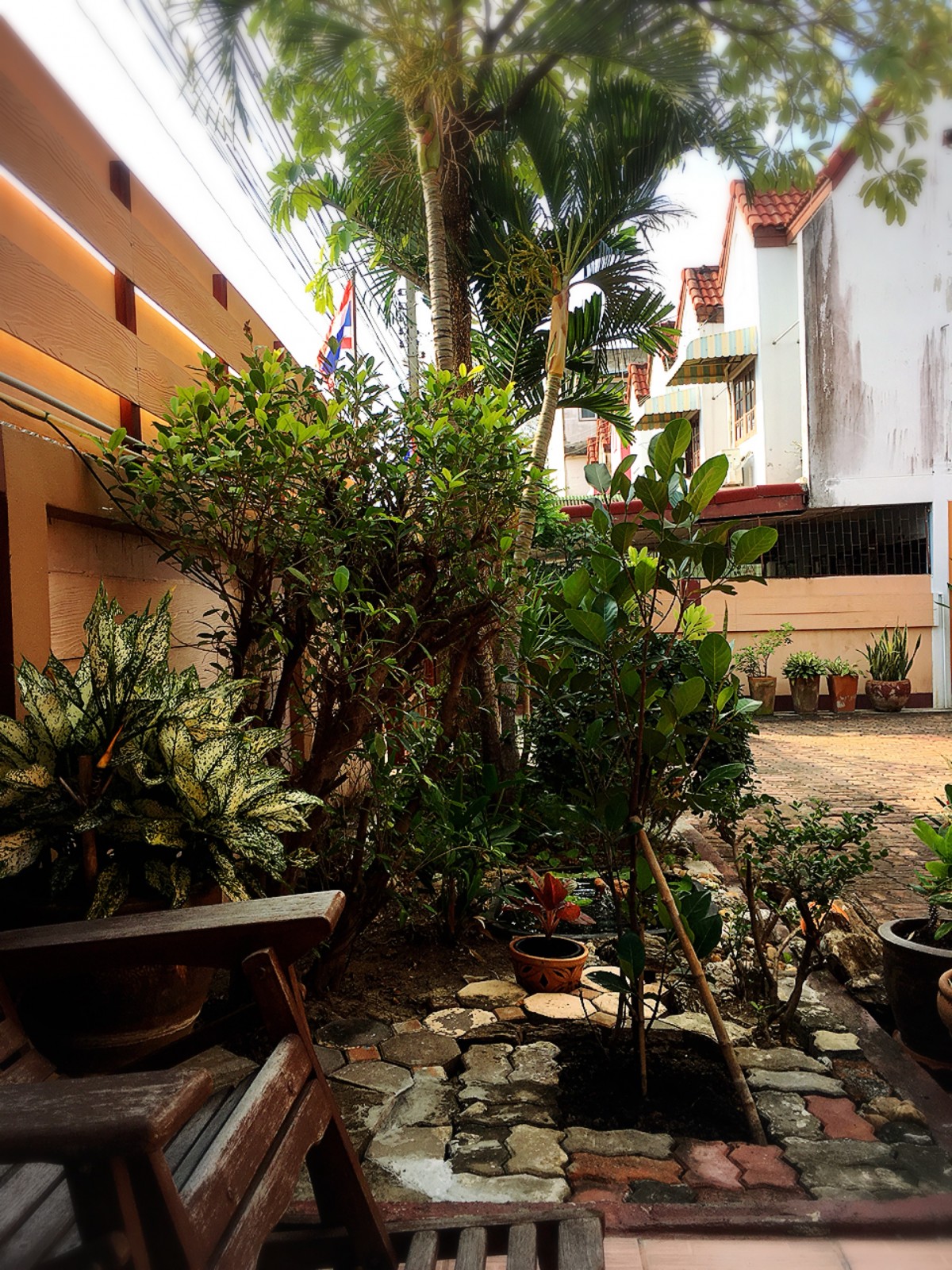 รับฝากขายบ้าน ที่ดิน กรุงเทพ นนทบุรี ปทุมธานี สมุทรปราการ | ขายด่วนบ้านเดี่ยว 2 ชั้น 100 ตร.วา. ซ.พระยาสุเรนท์ 30 แขวงบางชัน เขตคลองสามวา กรุงเทพ รับฝากขายบ้าน ที่ดิน กรุงเทพ นนทบุรี ปทุมธานี สมุทรปราการ | ขายด่วนบ้านเดี่ยว 2 ชั้น 100 ตร.วา. ซ.พระยาสุเรนท์ 30 แขวงบางชัน เขตคลองสามวา กรุงเทพ